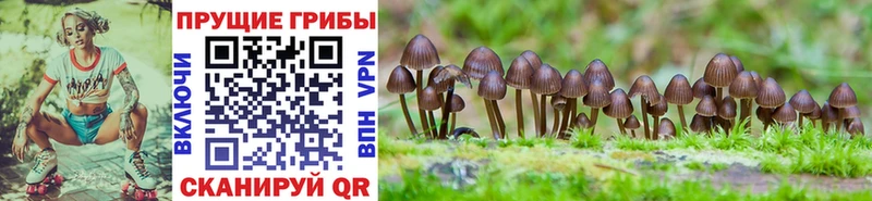 Псилоцибиновые грибы Magic Shrooms  Мариинск 