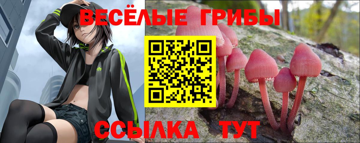 Мариинск  Галлюциногенные грибы Psilocybe  Вход с VPN 
